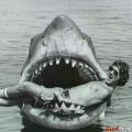 Sul set di JAWS